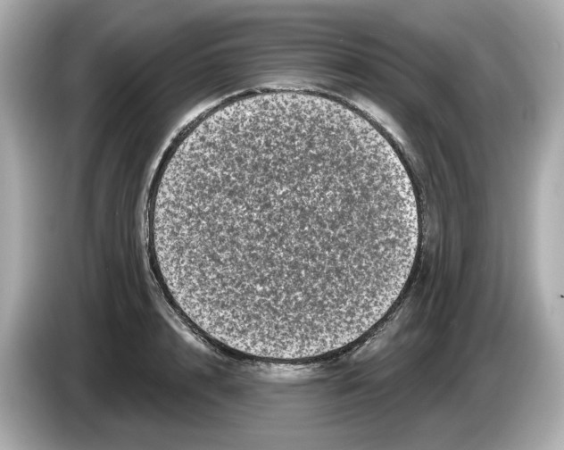 X0000085760848200704091333