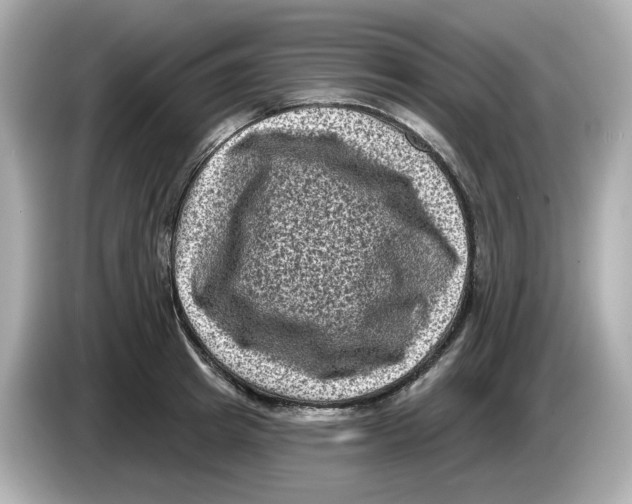 X0000085760849200704091333