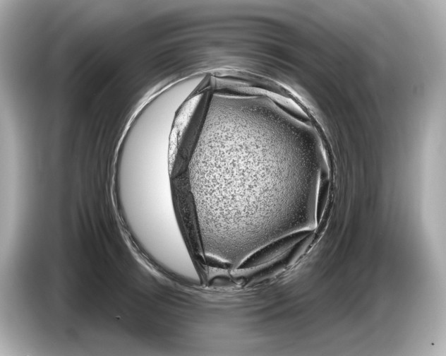 X0000085760850200704091333