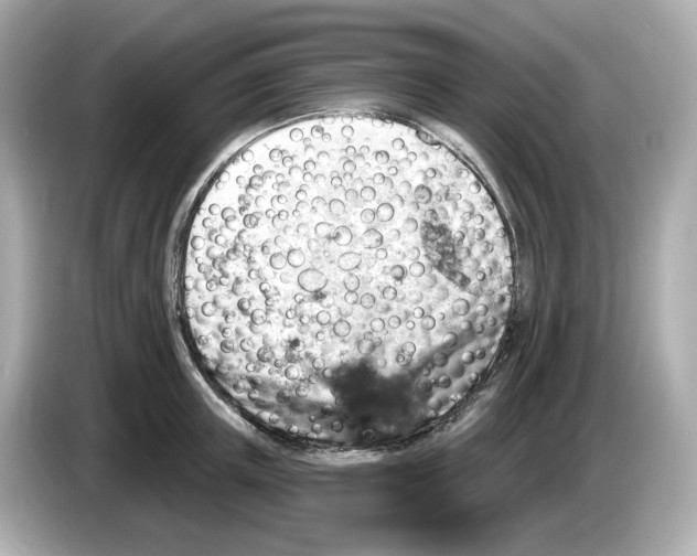 X0000085760851200704091333