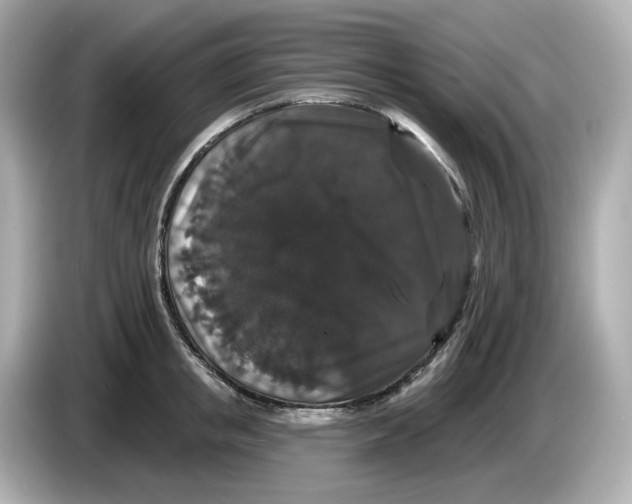 X0000085760853200704091333