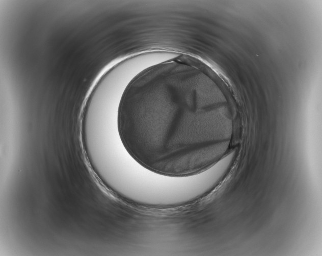 X0000085760854200704091333