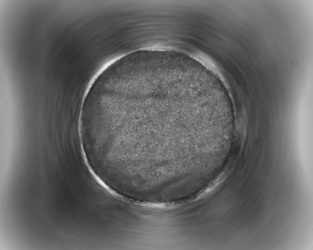 X0000085760855200704091333