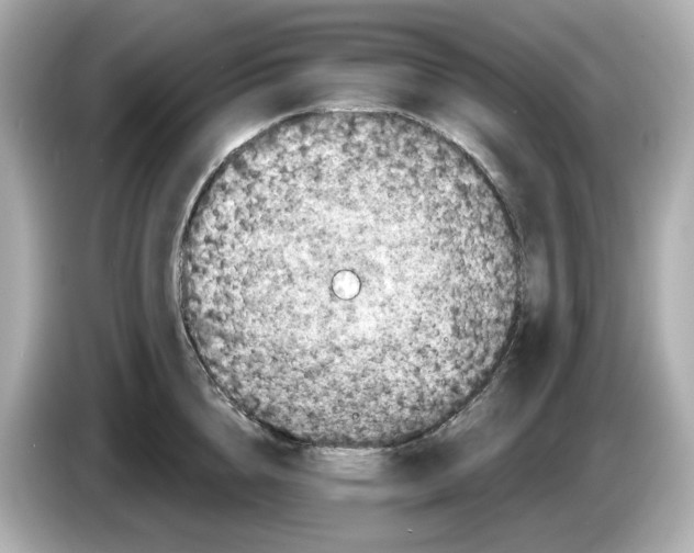 X0000085760856200704091333