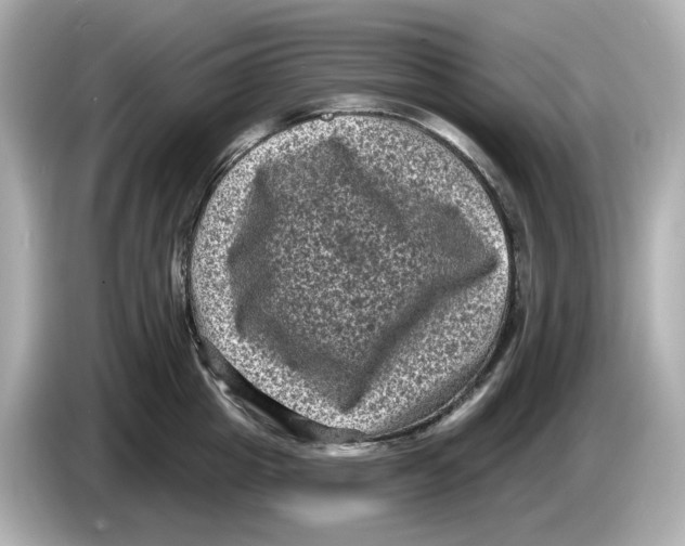 X0000085760857200704091333