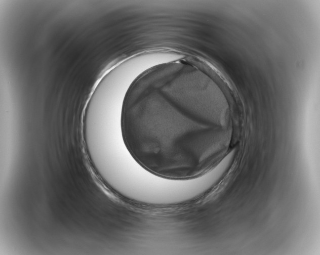 X0000085760858200704091333