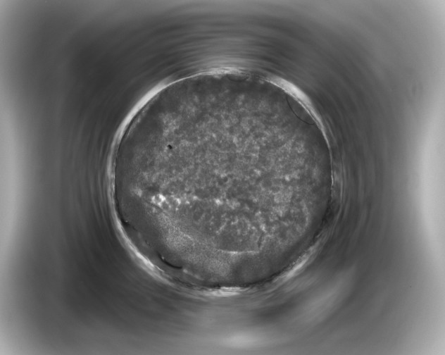 X0000085760859200704091333