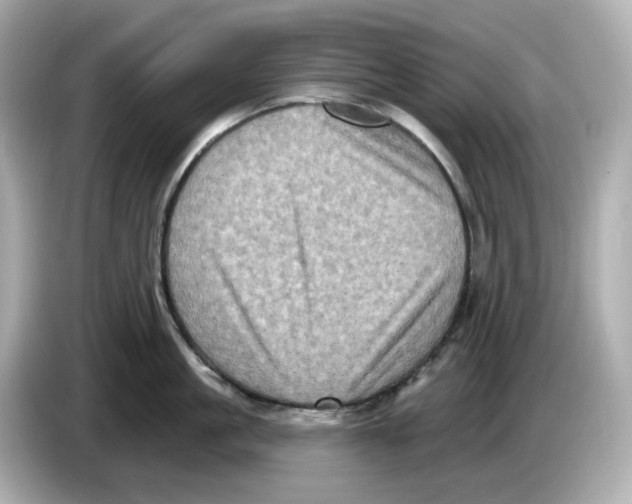 X0000085760861200704091333