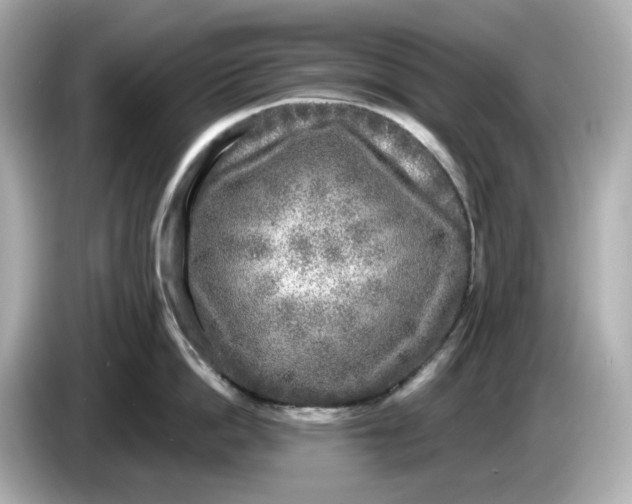 X0000085760862200704091333