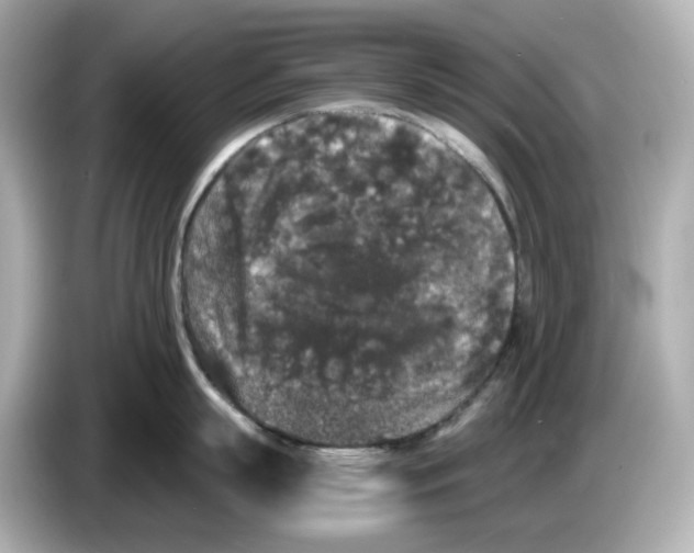 X0000085760863200704091333