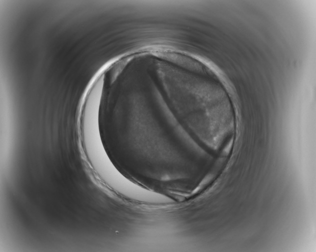 X0000085760864200704091333