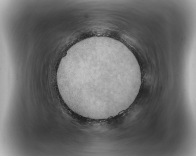 X0000085760865200704091332