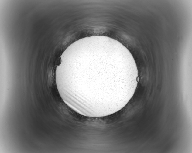 X0000085760866200704091332