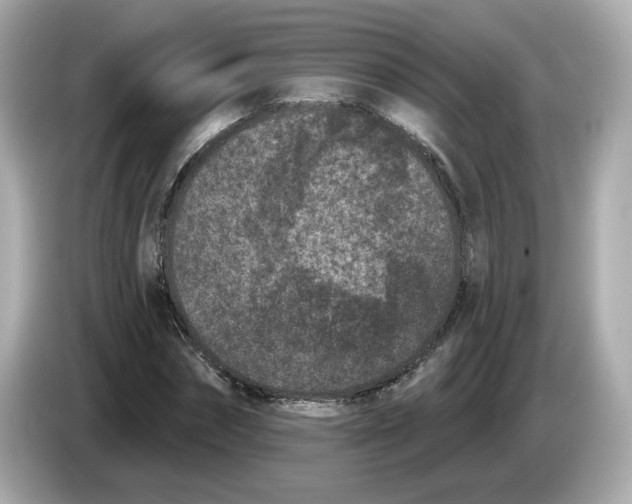 X0000085760874200704091332
