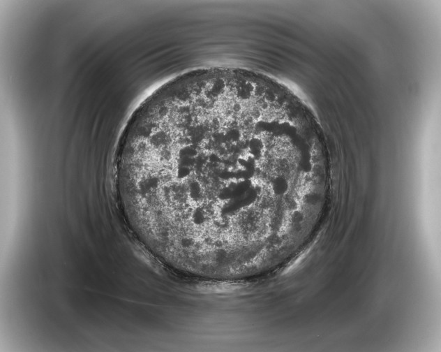 X0000085760879200704091332