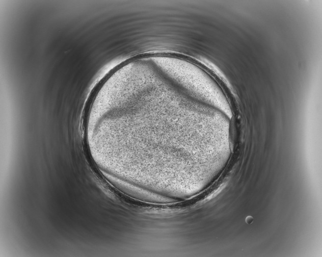 X0000085760885200704091332