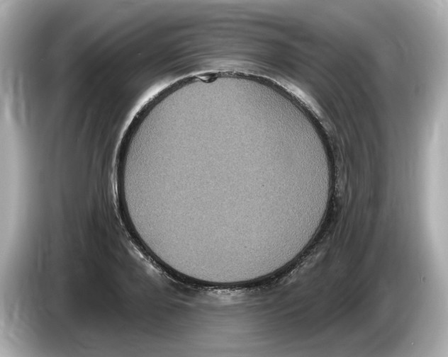 X0000085760888200704091332