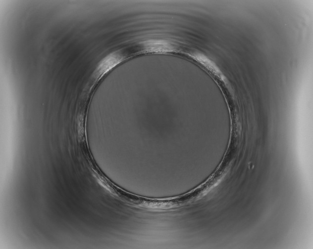 X0000085760889200704091332