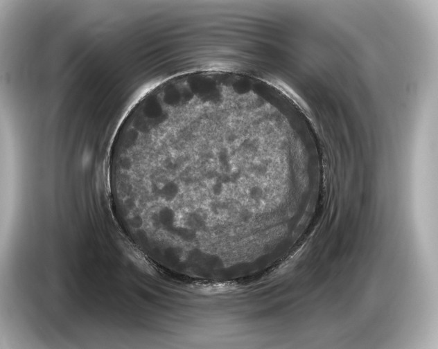 X0000085760891200704091332