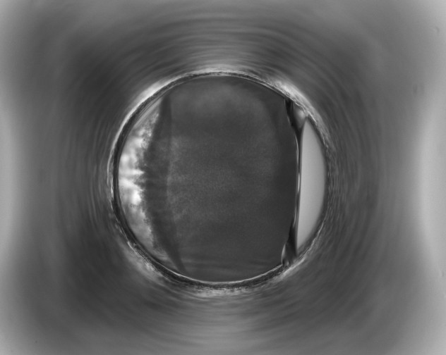 X0000085760892200704091332