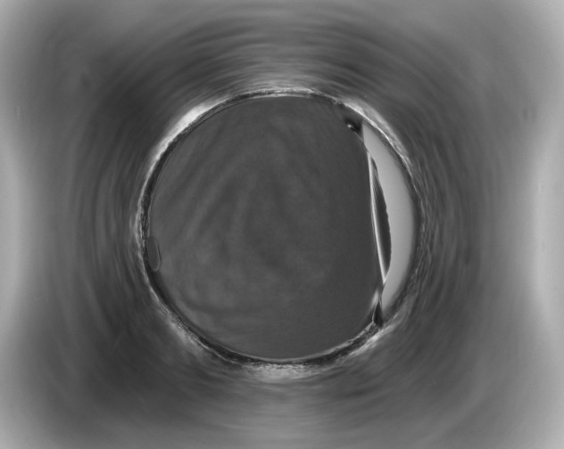 X0000085760893200704091332