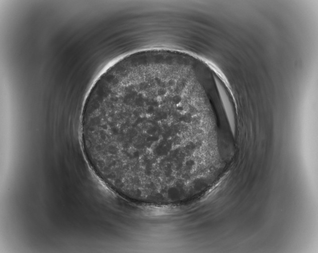 X0000085760895200704091332