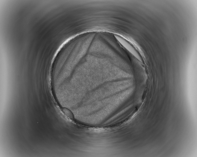 X0000085760896200704091332