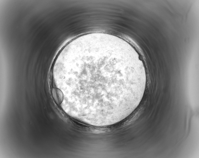 X0000085760899200704091332