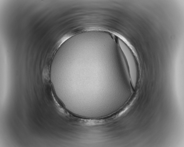 X0000085760905200704091332