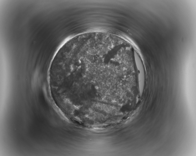 X0000085760907200704091332