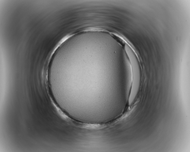 X0000085760909200704091332