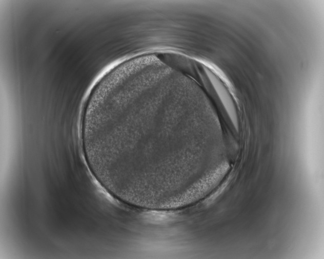 X0000085760910200704091332