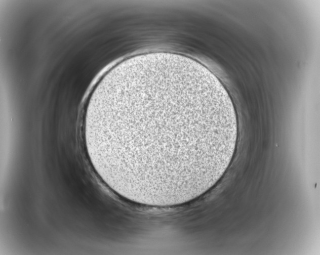 X0000085760912200704091332