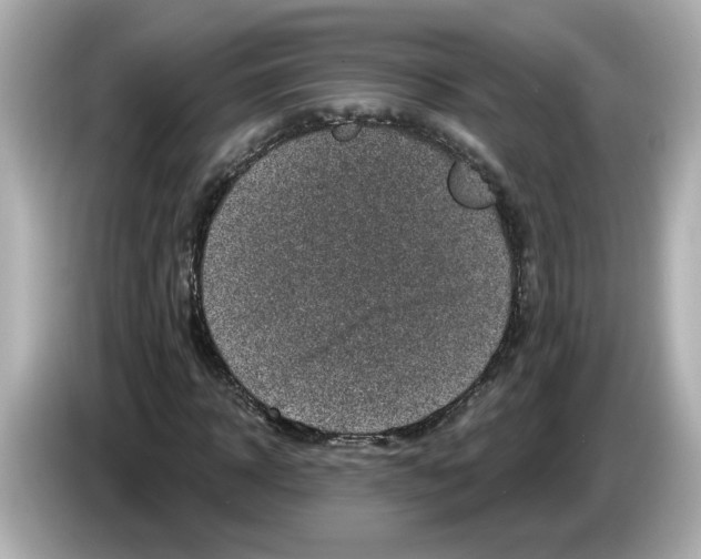 X0000085760918200704091331