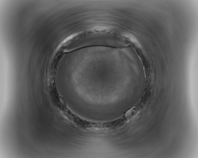 X0000085760920200704091331