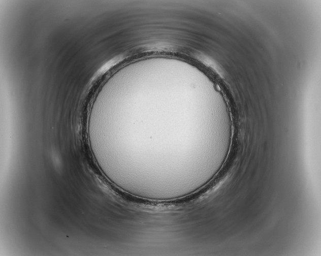 X0000085760922200704091331