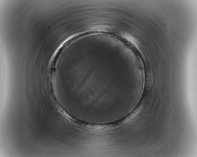 X0000085760923200704091331