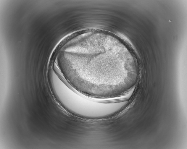 X0000085760924200704091331