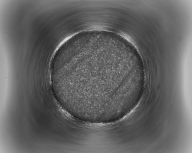 X0000085760925200704091331