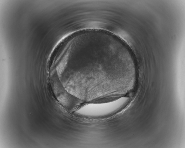 X0000085760926200704091331