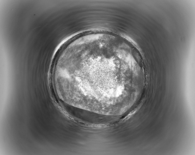 X0000085760928200704091331