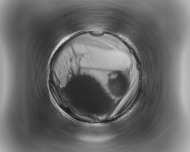 X0000085760941200704091332