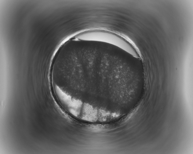 X0000085760943200704091332