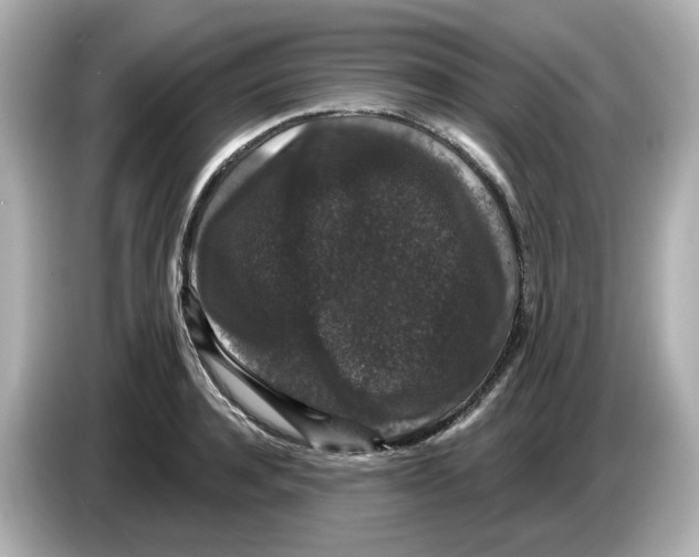 X0000085760944200704091332