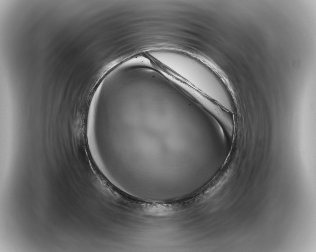 X0000085760945200704091332