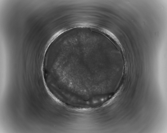 X0000085760946200704091332