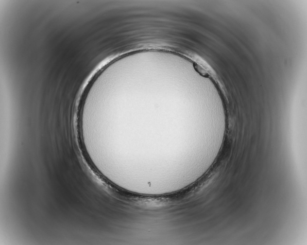 X0000085760947200704091332