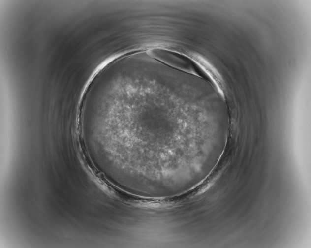 X0000085760948200704091332