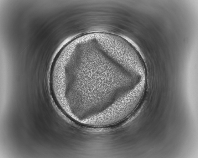 X0000085760949200704091332