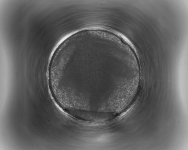 X0000085760951200704091332